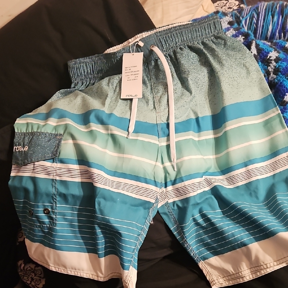 Rogue Men's Teal and White Swim Shorts